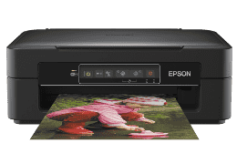 Epson XP-245