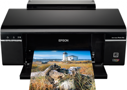 Epson Stylus Photo P50